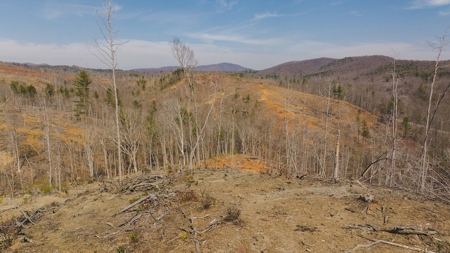 Large Timbered Tract of Land for Sale in Ferrum VA - image 13