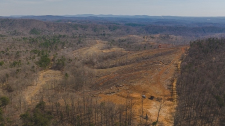 Large Timbered Tract of Land for Sale in Ferrum VA - image 26