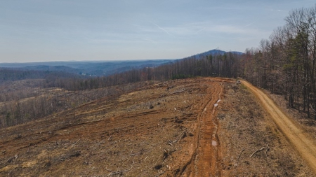 Large Timbered Tract of Land for Sale in Ferrum VA - image 22