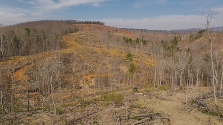 Large Timbered Tract of Land for Sale in Ferrum VA - image 14