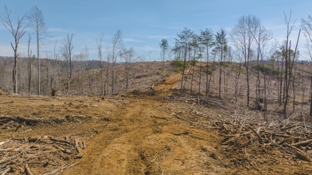 Large Timbered Tract of Land for Sale in Ferrum VA - image 1