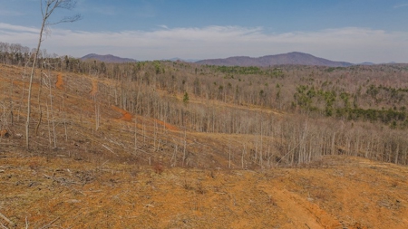 Large Timbered Tract of Land for Sale in Ferrum VA - image 25