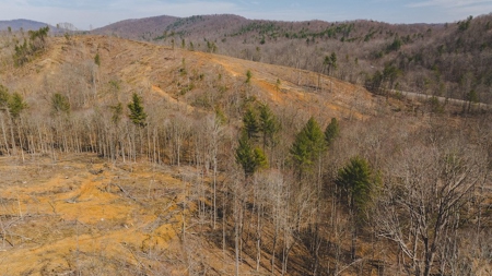 Large Timbered Tract of Land for Sale in Ferrum VA - image 15