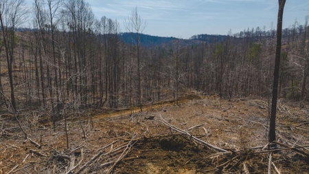Large Timbered Tract of Land for Sale in Ferrum VA - image 7