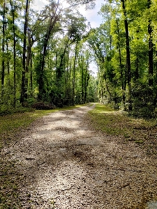 Secluded private oasis!!!! - image 25