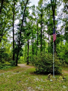 Secluded private oasis!!!! - image 2