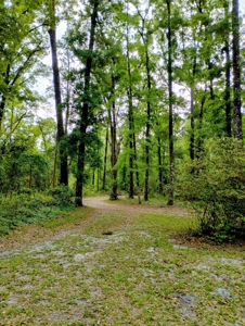 Secluded private oasis!!!! - image 30