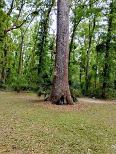 Secluded private oasis!!!! - image 16