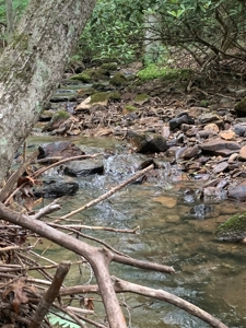 Mountain Majesty: 1,500+ Acre Wilderness Estate in Virginia - image 16