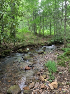 Mountain Majesty: 1,500+ Acre Wilderness Estate in Virginia - image 15