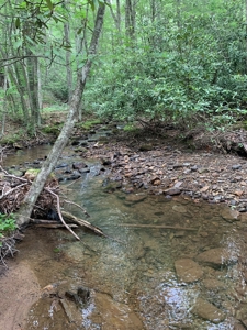 Mountain Majesty: 1,500+ Acre Wilderness Estate in Virginia - image 14