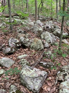 Mountain Majesty: 1,500+ Acre Wilderness Estate in Virginia - image 6