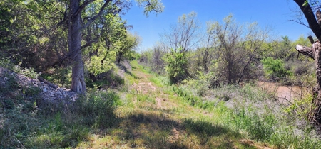 Texas Colorado River Recreational Ranch near San Angelo - image 7