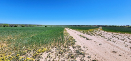 Texas Colorado River Recreational Ranch near San Angelo - image 1