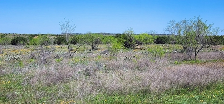 Texas Colorado River Recreational Ranch near San Angelo - image 3