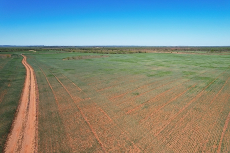Texas Colorado River Recreational Ranch near San Angelo - image 22