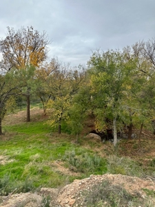 Texas Colorado River Recreational Ranch near San Angelo - image 31