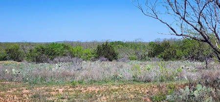 Texas Colorado River Recreational Ranch near San Angelo - image 4