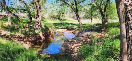 Texas Colorado River Recreational Ranch near San Angelo - image 11