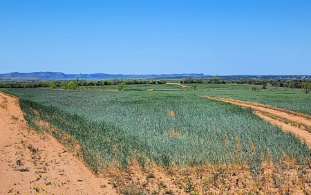 Texas Colorado River Recreational Ranch near San Angelo - image 26