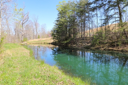 Country home for sale on Lake Cumberland in Monticello KY - image 35