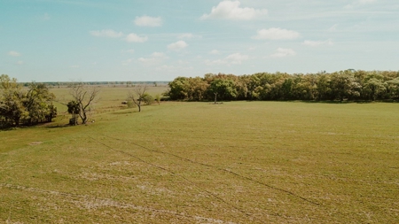 160 Acres For Sale In Dunnellon Florida!! - image 2