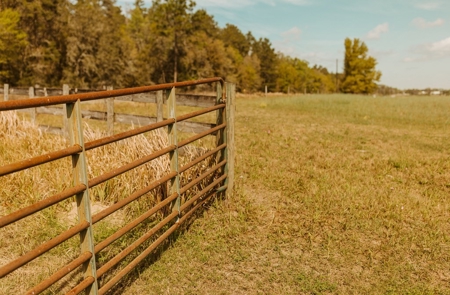 160 Acres For Sale In Dunnellon Florida!! - image 6