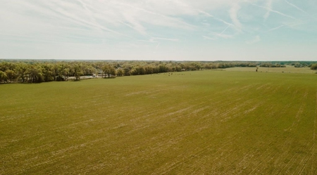 160 Acres For Sale In Dunnellon Florida!! - image 1