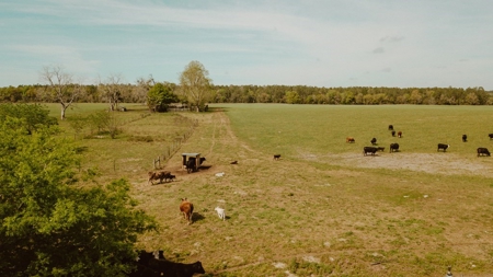 160 Acres For Sale In Dunnellon Florida!! - image 3