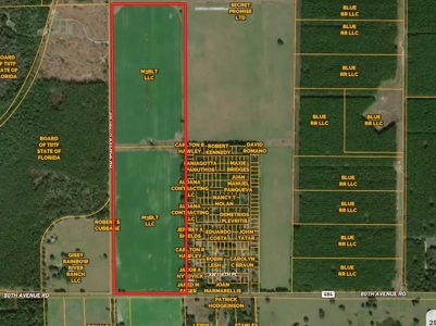 160 Acres For Sale In Dunnellon Florida!! - image 7