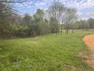 Lot For Sale Close To The Buffalo River in Linden, TN - image 5