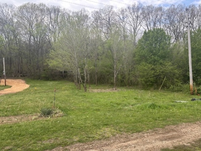 Lot For Sale Close To The Buffalo River in Linden, TN - image 3