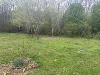 Lot For Sale Close To The Buffalo River in Linden, TN - image 4