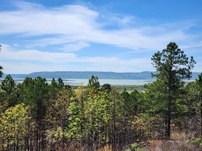 Lakeview Building Lot – Sardis Lake - image 7