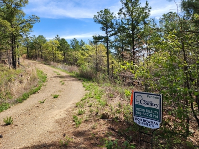 Lakeview Building Lot – Sardis Lake - image 2