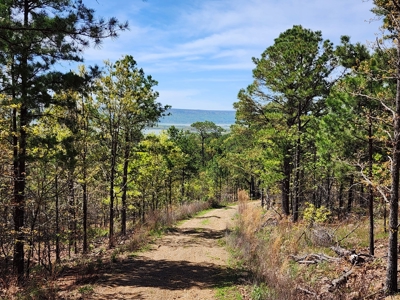 Lakeview Building Lot – Sardis Lake - image 8