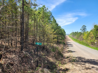 Lakeview Building Lot – Sardis Lake - image 9
