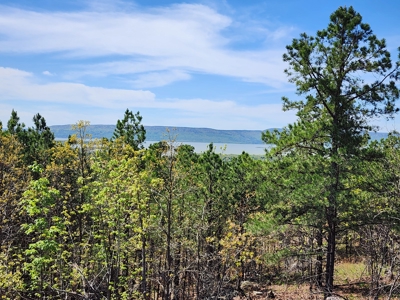 Lakeview Building Lot – Sardis Lake - image 6
