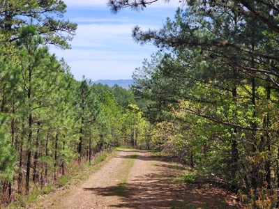 Lakeview Building Lot – Sardis Lake - image 11
