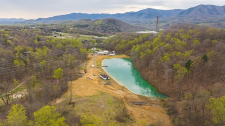 Home, Building and Lake for Sale Near Downtown Salem VA - image 5