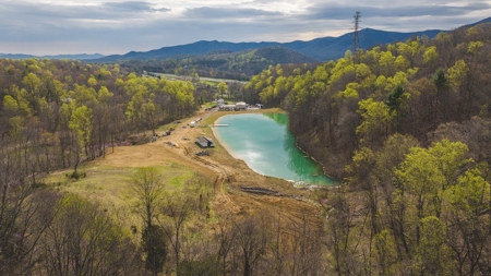 Home, Building and Lake for Sale Near Downtown Salem VA - image 9