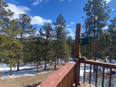 Mountain Home for Sale in Silver Cliff Ranch - image 18
