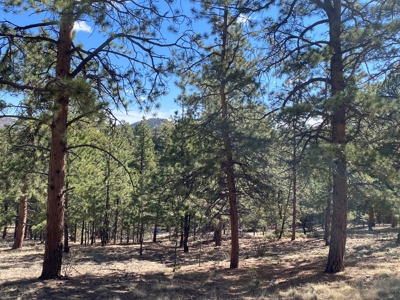 Mountain Home for Sale in Silver Cliff Ranch - image 28