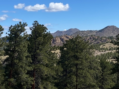Mountain Home for Sale in Silver Cliff Ranch - image 30