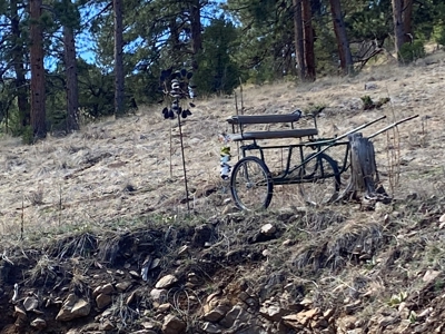 Mountain Home for Sale in Silver Cliff Ranch - image 26