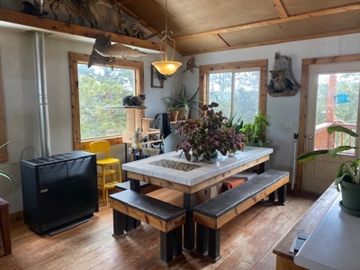Mountain Home for Sale in Silver Cliff Ranch - image 2