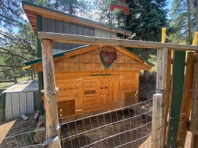 Mountain Home for Sale in Silver Cliff Ranch - image 39