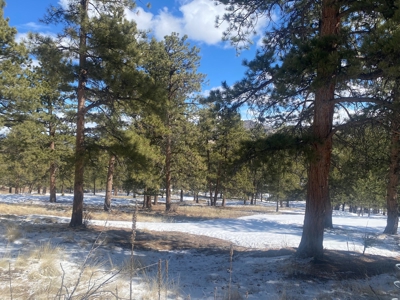 Mountain Home for Sale in Silver Cliff Ranch - image 15