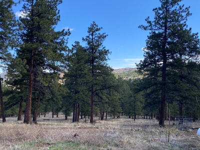 Mountain Home for Sale in Silver Cliff Ranch - image 24