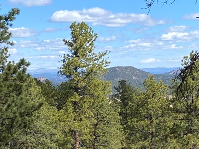Mountain Home for Sale in Silver Cliff Ranch - image 27